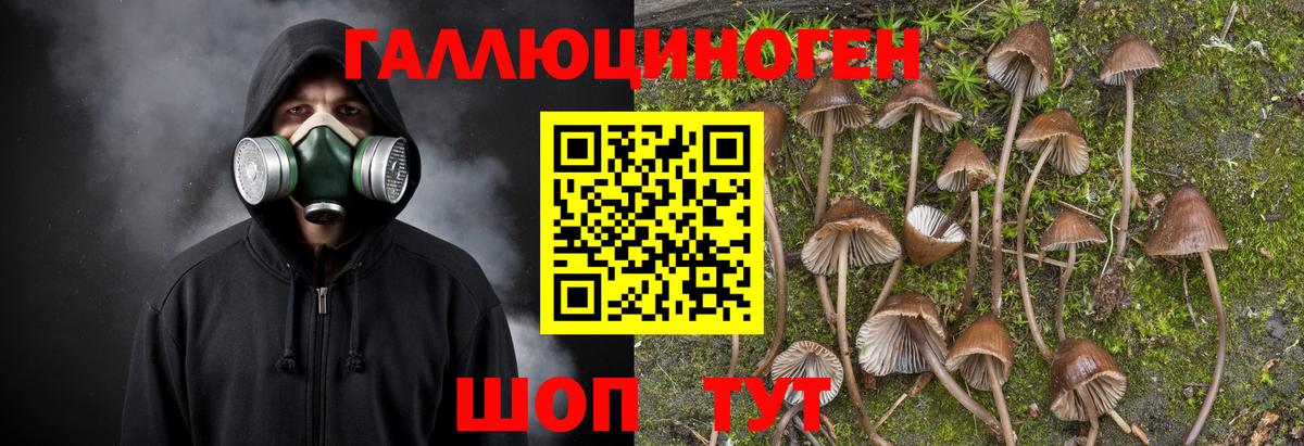 Галлюциногенные грибы мицелий Елабуга