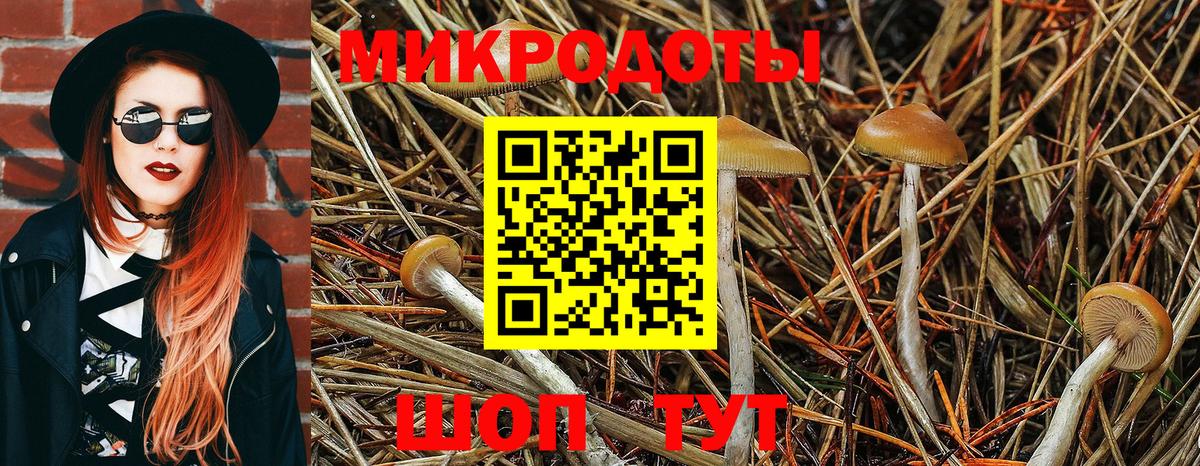 Галлюциногенные грибы Magic Shrooms  Вход с VPN  Галлюциногенные грибы Psilocybe  Елабуга 